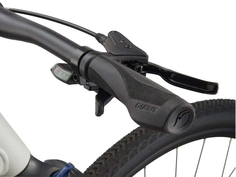 2021 Giant Roam 3 Disc Hybrid Bike in Grey-4