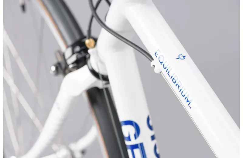 2021 Genesis Equilibrium Steel Road Bike in White-4