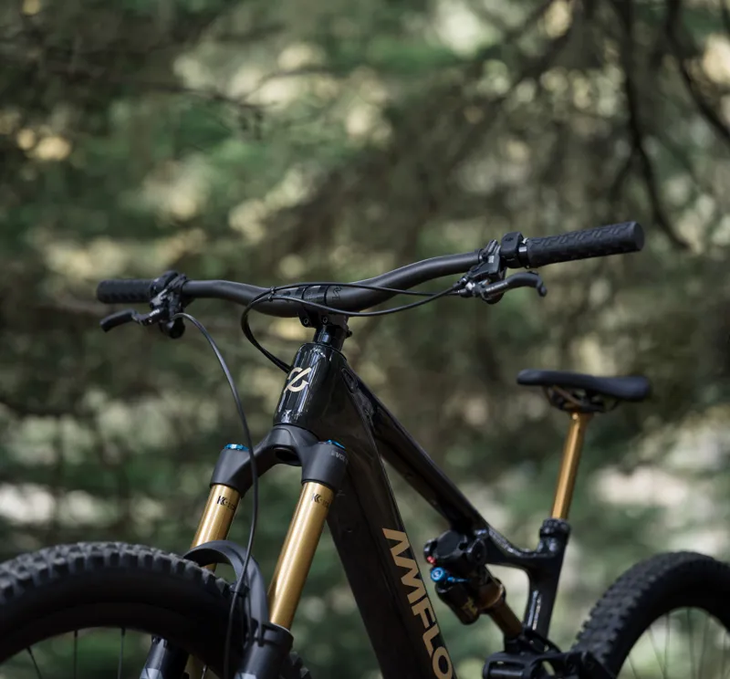 Amflow PL Carbon Pro 800Wh in Cosmic Black-9