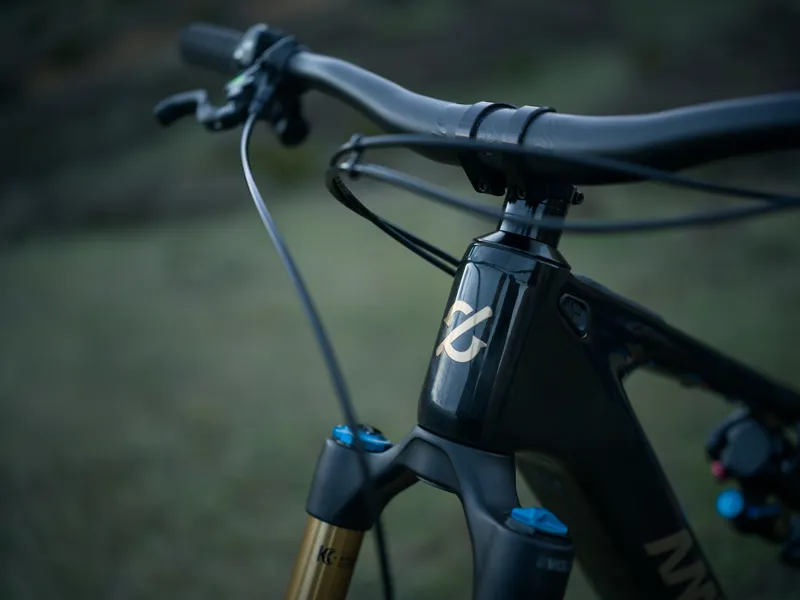 Amflow PL Carbon Pro 600Wh in Cosmic Black-2